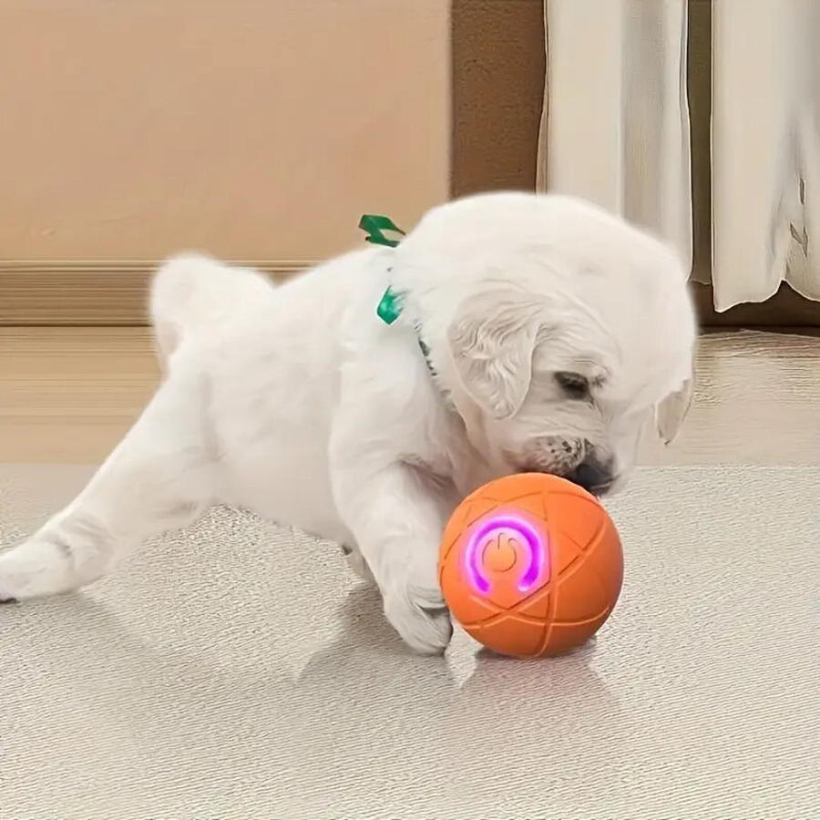 Automatic rolling ball dog and cat toys, interactive and durable dog chew ball toys, exercise elastic ball dog toys