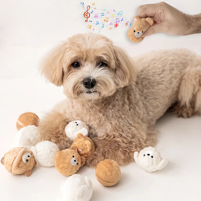 Squeaky Puppy Ball Toy - Spiked Bouncing Chew for Teeth Cleaning, Interactive Pet Toy for Small Dogs & Cats (Poodle/Bichon)