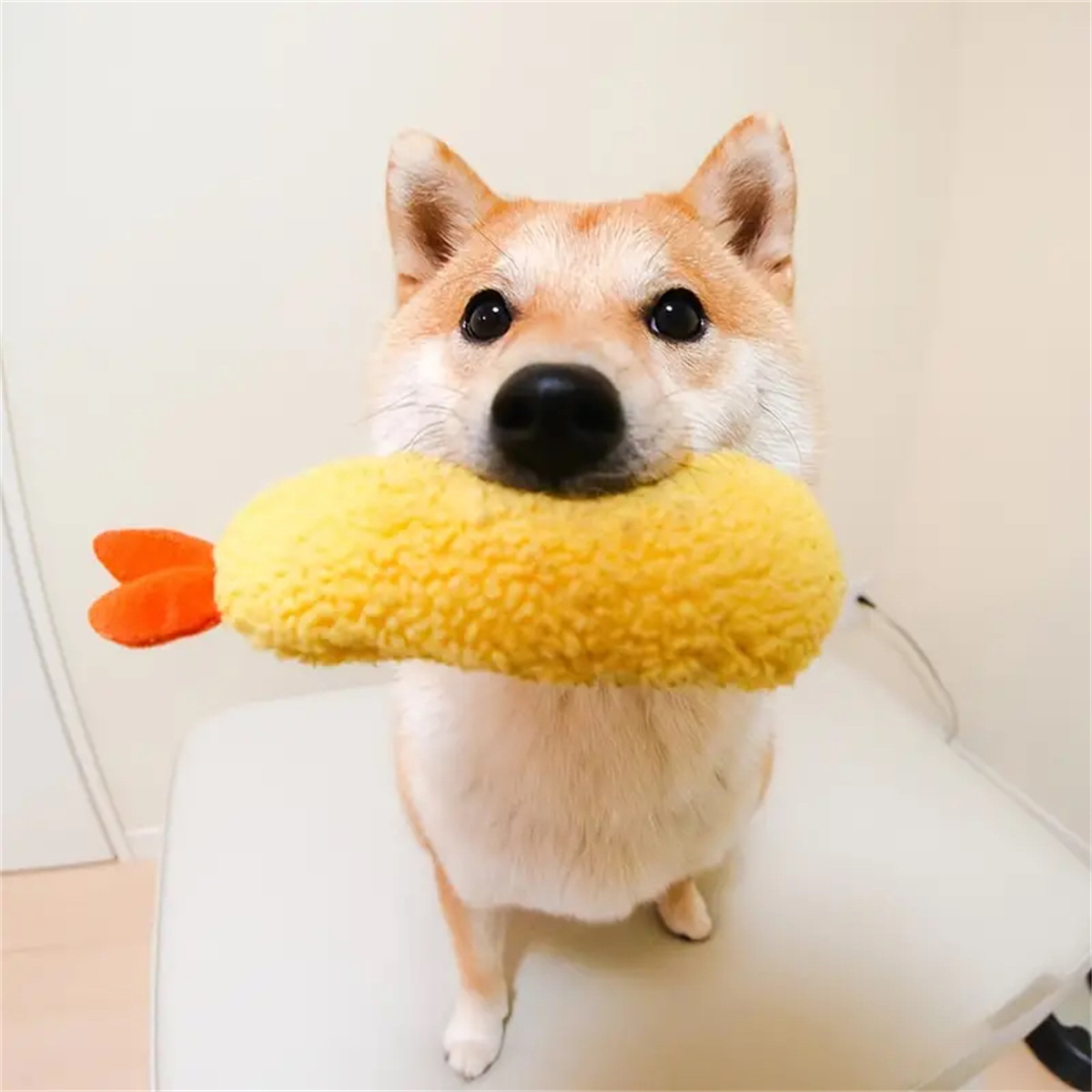 Fried Shrimp Tempura Dog Pet Chew Bite Squeaky Toy Cute Stuffed For Puppy Play Terrier Hond Shiba Yorkshire Corgi