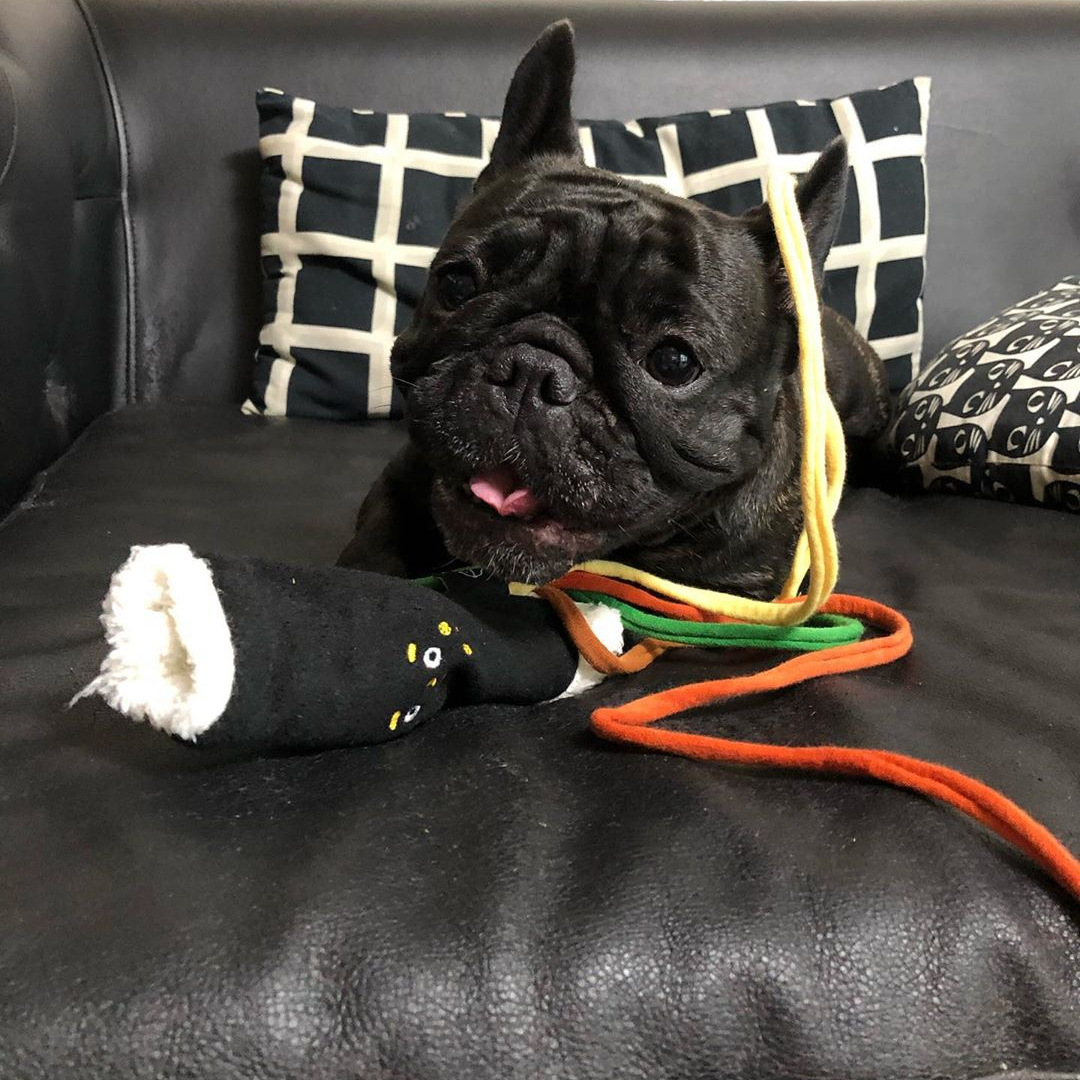New Sushi Seaweed Roll Hidden Food Smelling Toy Pet Dog Sound-making Plush Toy Chewing And Gnawing Toy Dog Fur Plush Toys
