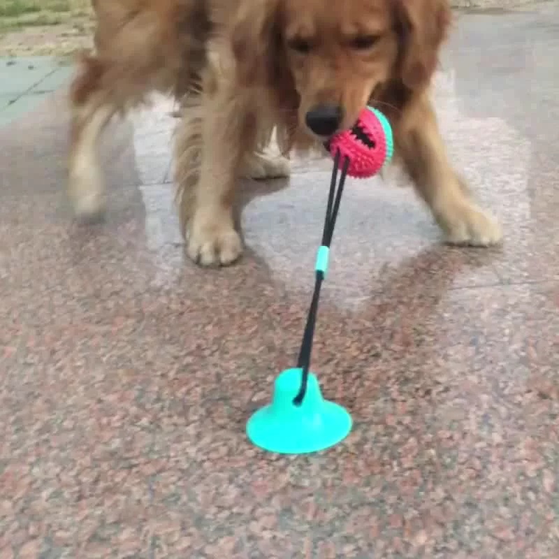 Pet Toys Chew Resistant Therapy Distribution Ball and Suction Cup Dog Toys