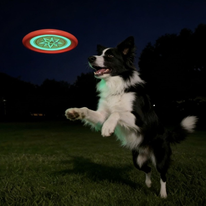 Glow in the Dark Dog Frisbee, Durable EVA Flying Disc Toy for Dogs, Lightweight Flexible Bite Resistant Night Outdoor Fetch Toy