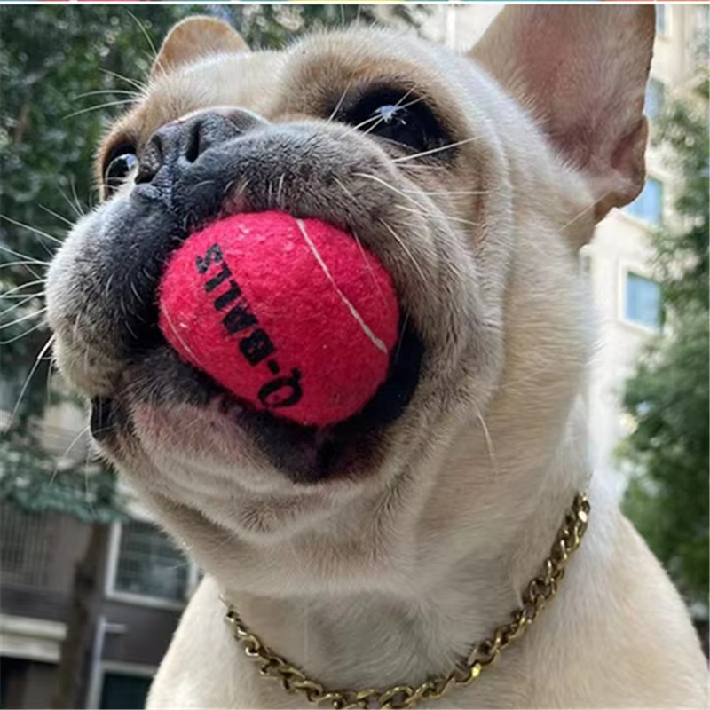 OUZEY 4Pcs/Set Dog Balls Toy Thick Walled Natural Rubber Squeak Chew Balls Toys For Pets Dogs Outdoor Interactive Dog Training